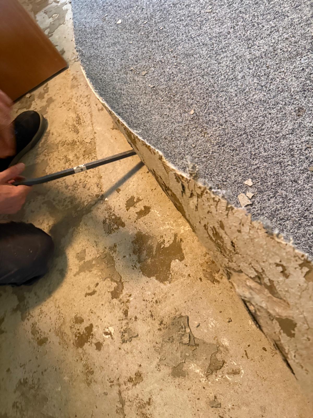 Teppich entfernen vor Bodenverlegung